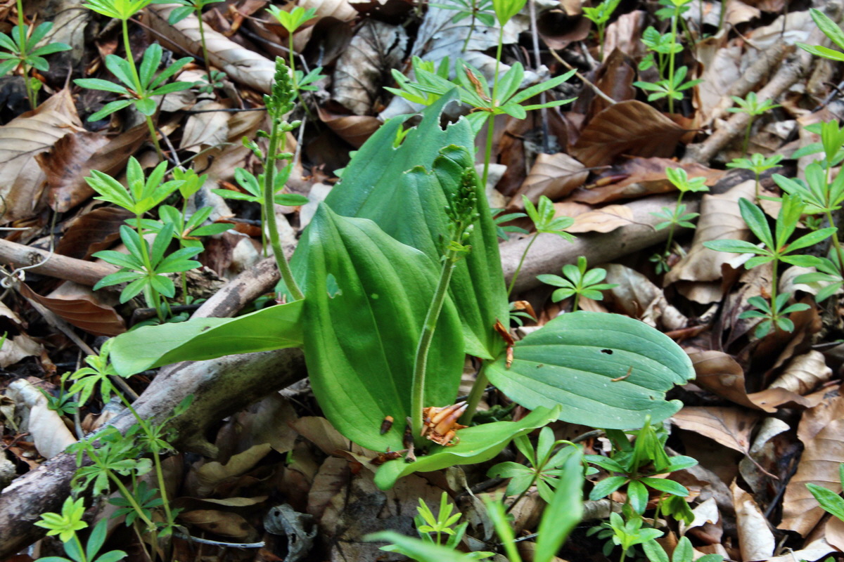 2014_04_21_00040579p_Bildgr��e �ndern