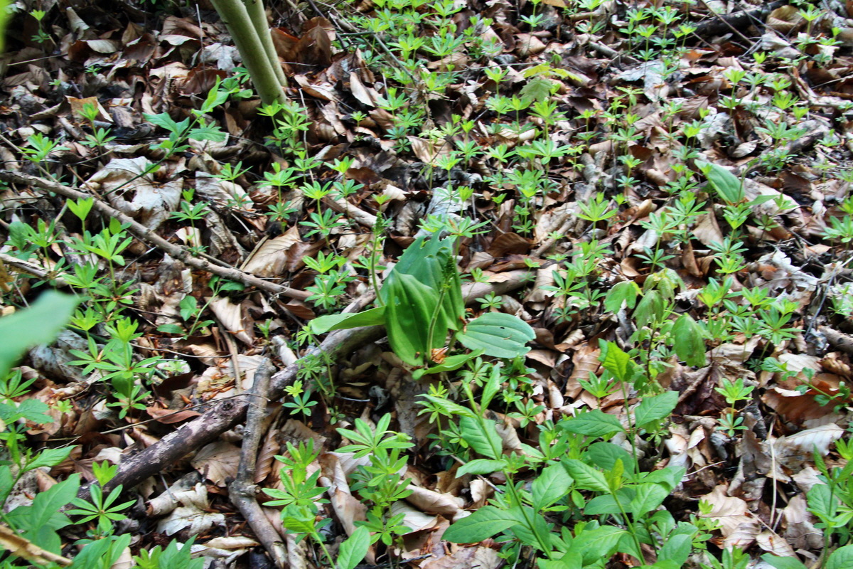 2014_04_21_00040583p_Bildgr��e �ndern