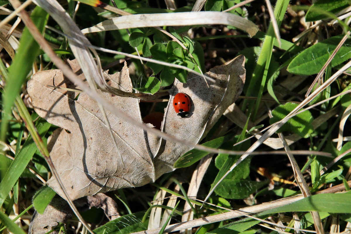 2014_04_21_00040606p_Bildgr��e �ndern