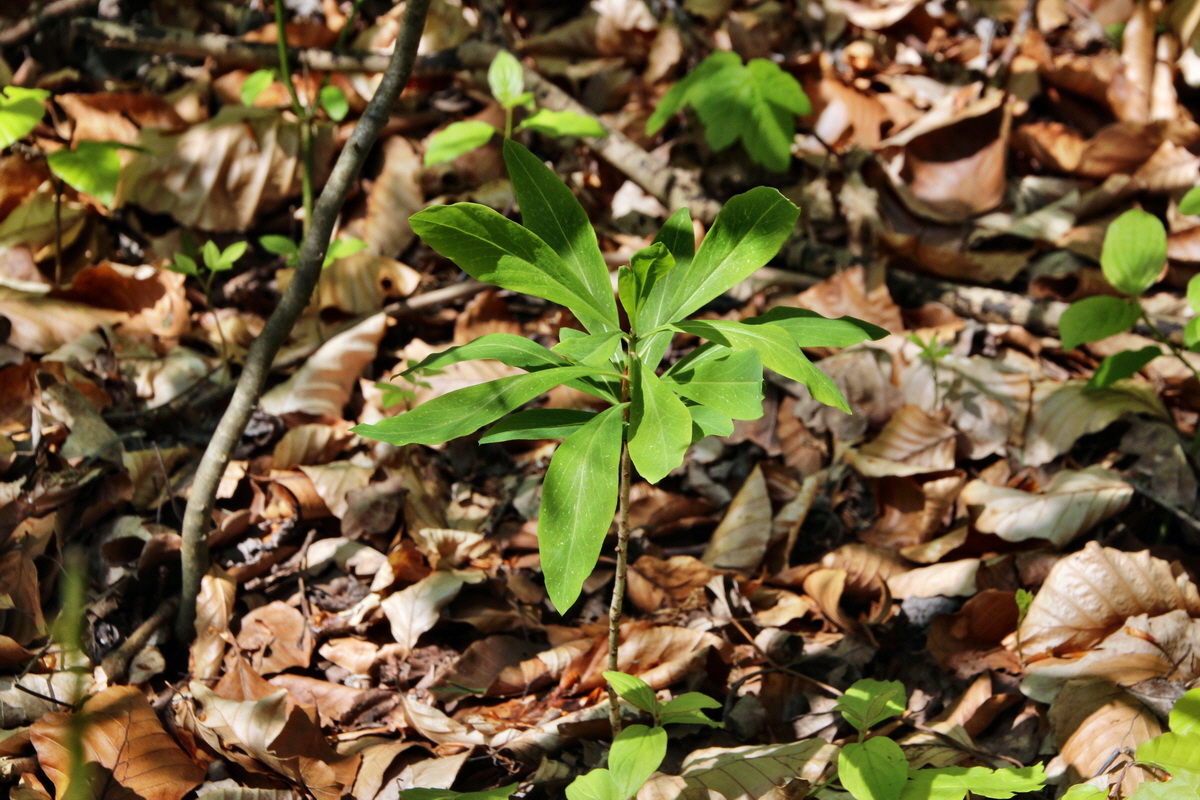 2014_04_21_00040607p_Bildgr��e �ndern