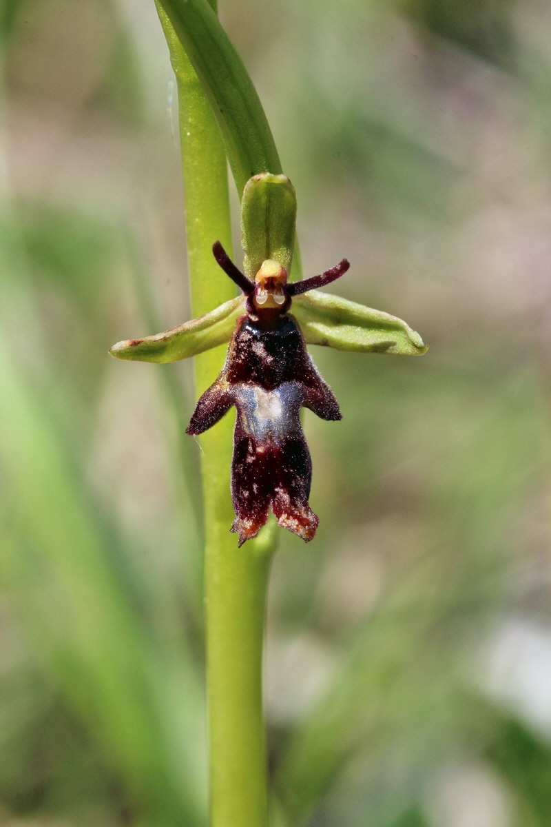 2014_04_21_00040622p_Bildgr��e �ndern