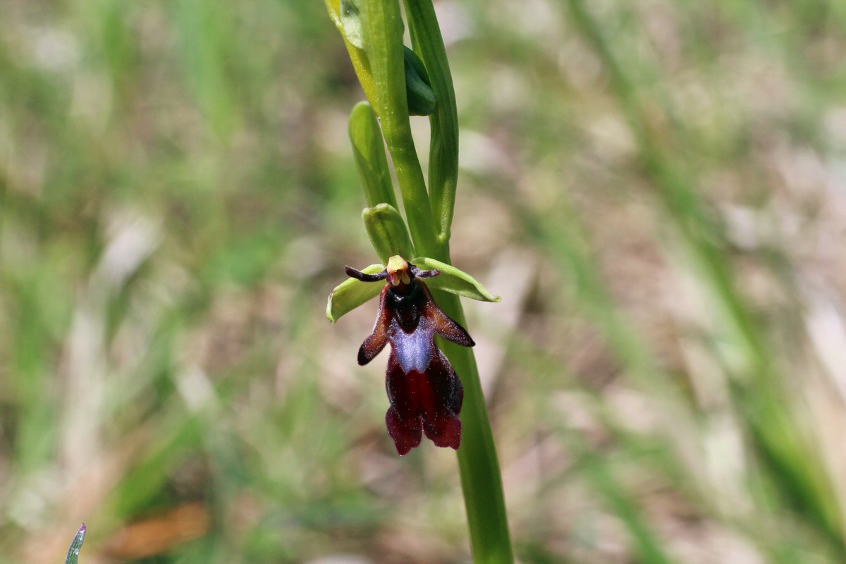 2014_04_21_00040627p_Bildgr��e �ndern