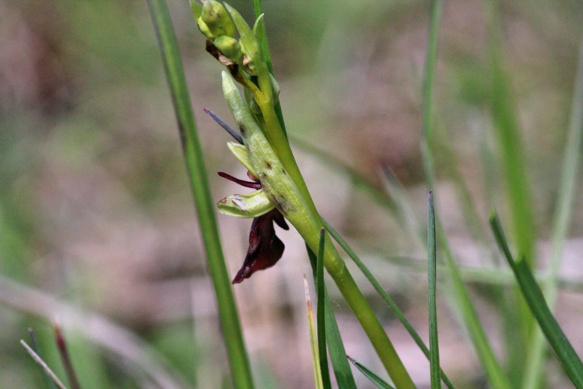 2014_04_21_00040632p_Bildgr��e �ndern