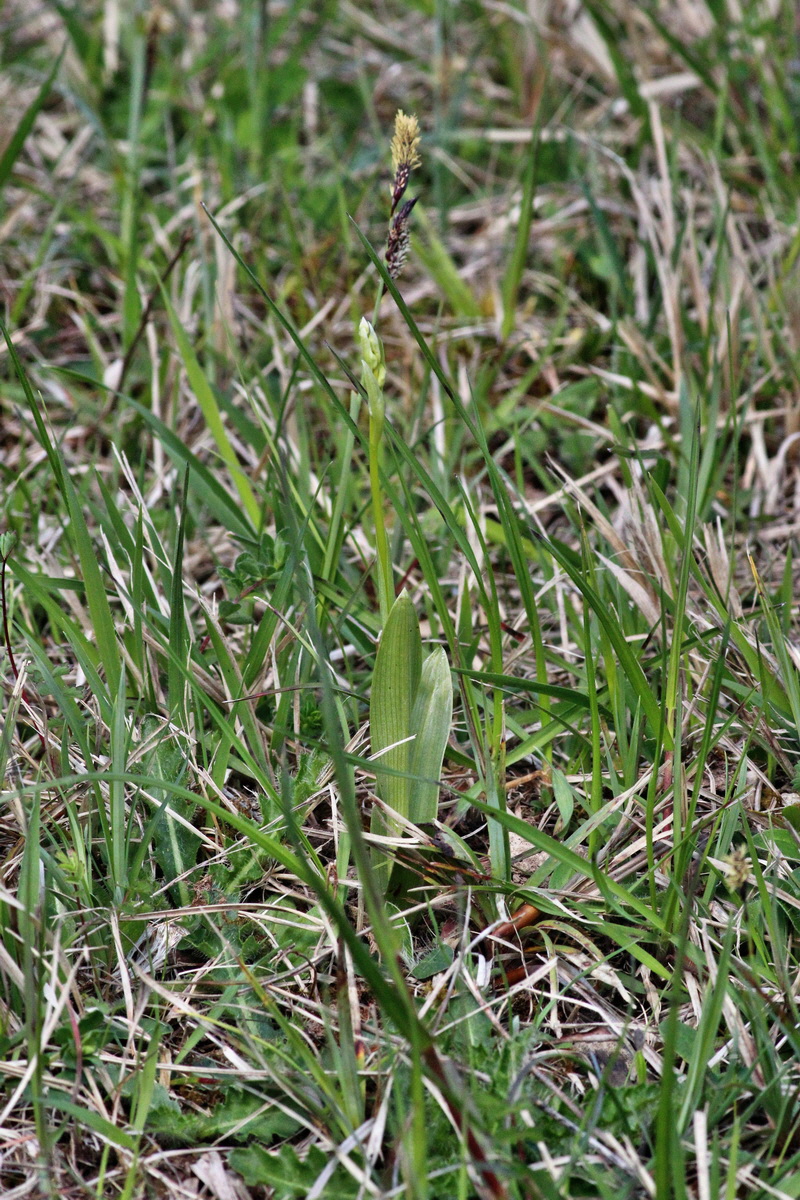 2014_04_21_00040657p_Bildgr��e �ndern