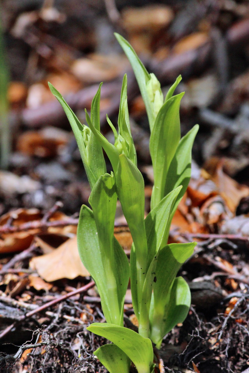 2014_04_21_00040661p_Bildgr��e �ndern