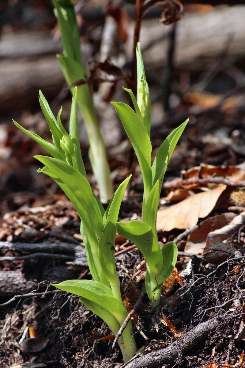 2014_04_21_00040668p_Bildgr��e �ndern