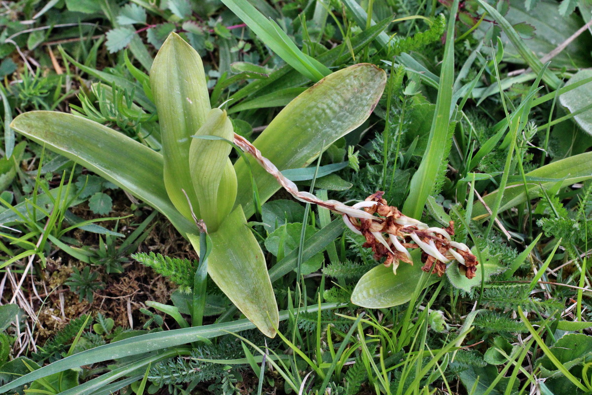 2014_04_21_00040685p_Bildgr��e �ndern