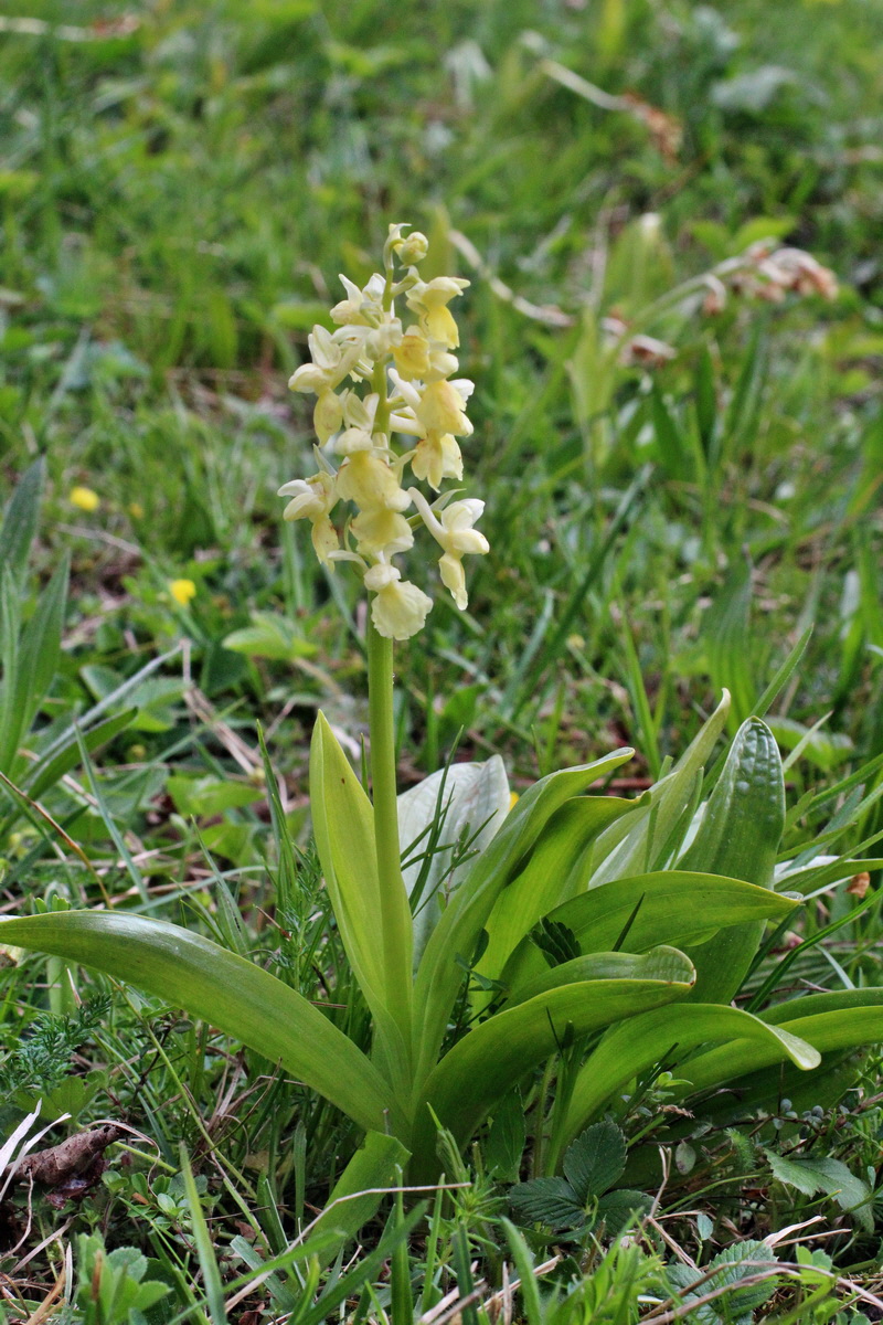 2014_04_21_00040689p_Bildgr��e �ndern