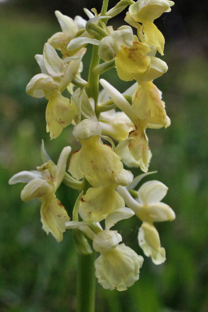 2014_04_21_00040692p_Bildgr��e �ndern