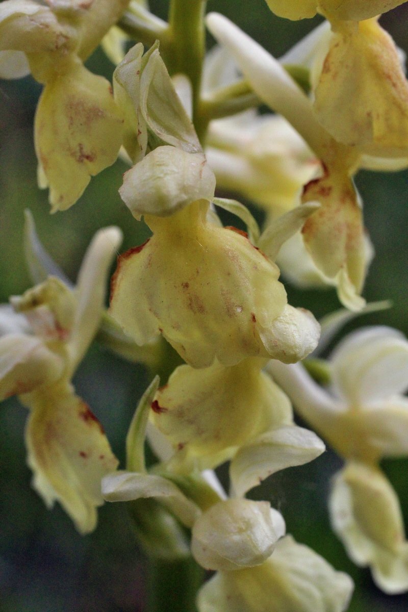 2014_04_21_00040695p_Bildgr��e �ndern