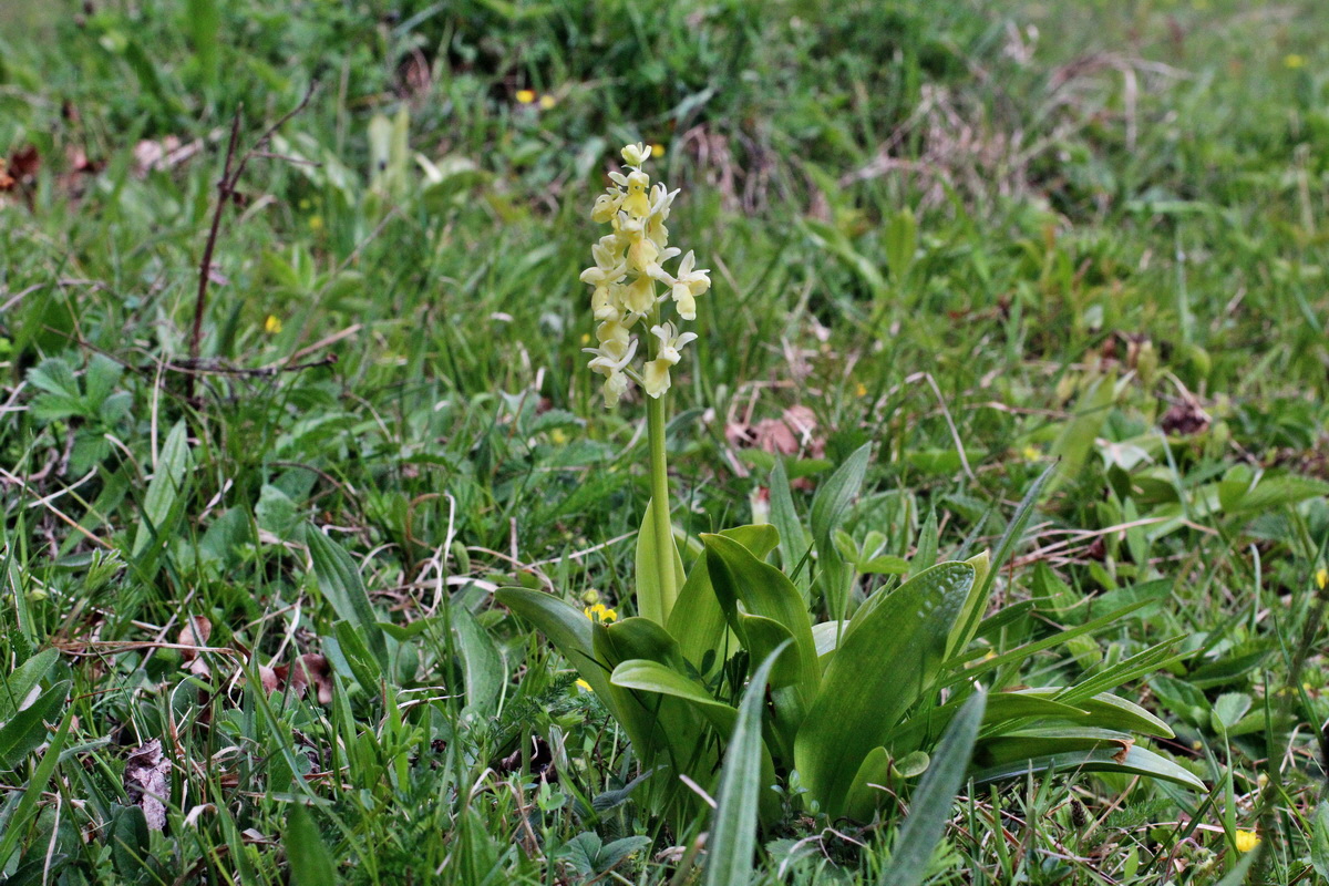 2014_04_21_00040706p_Bildgr��e �ndern