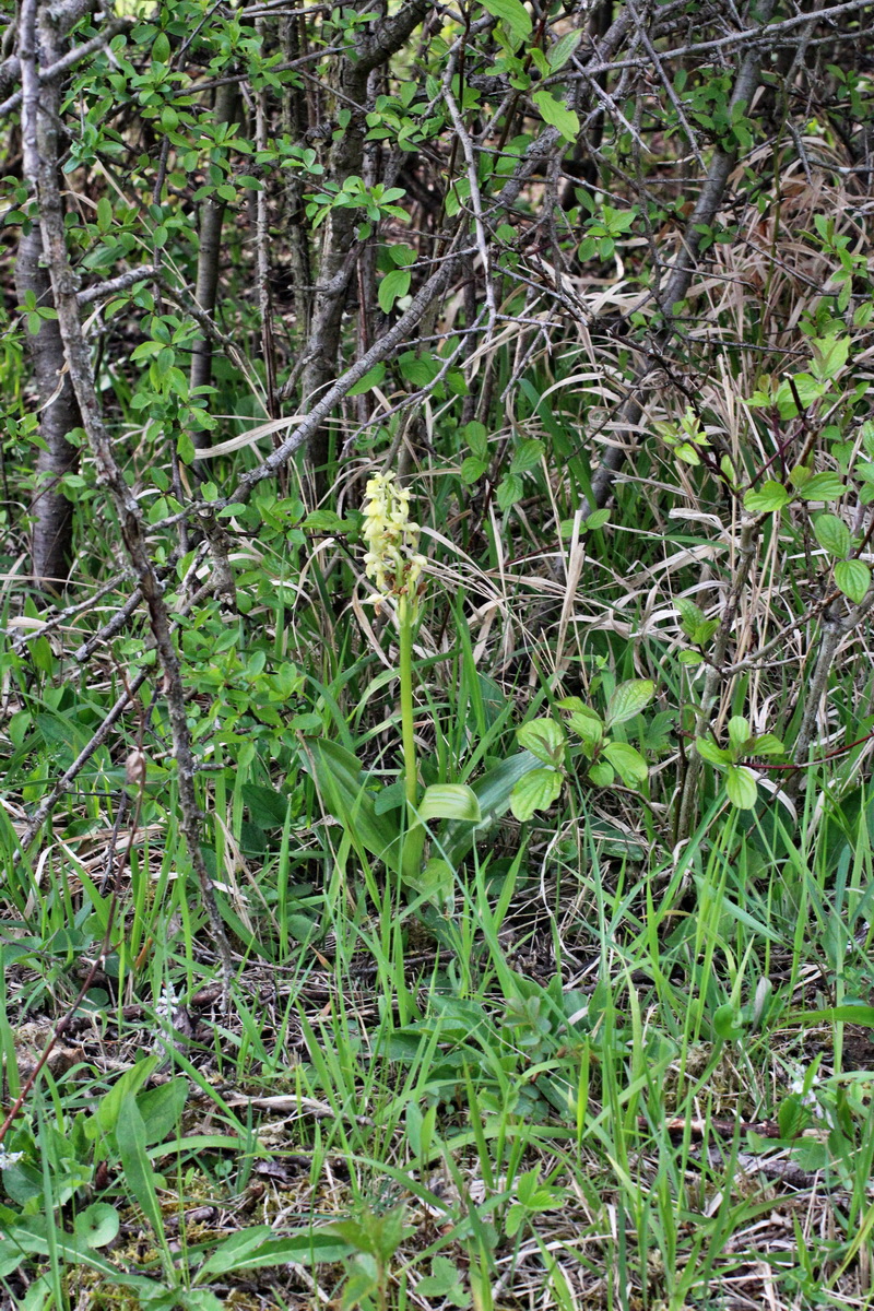 2014_04_21_00040708p_Bildgr��e �ndern