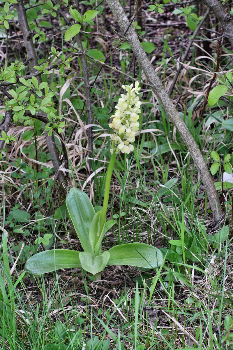 2014_04_21_00040713p_Bildgr��e �ndern