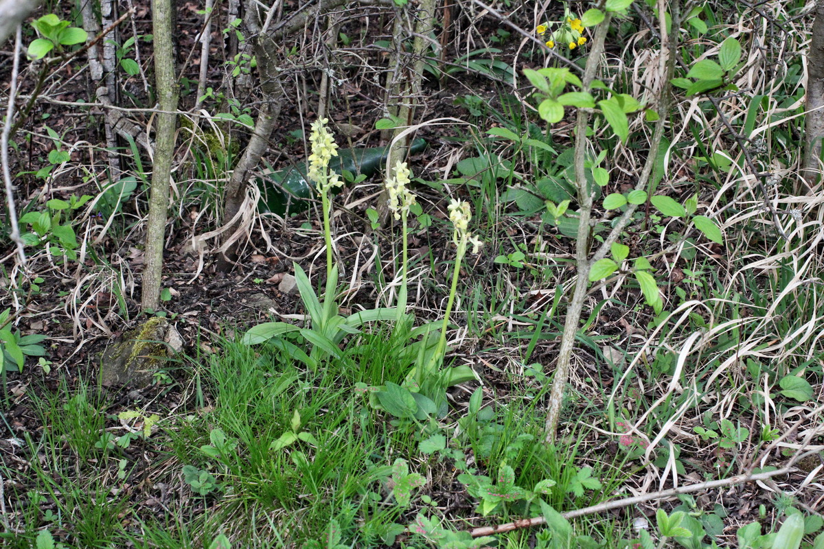 2014_04_21_00040716p_Bildgr��e �ndern