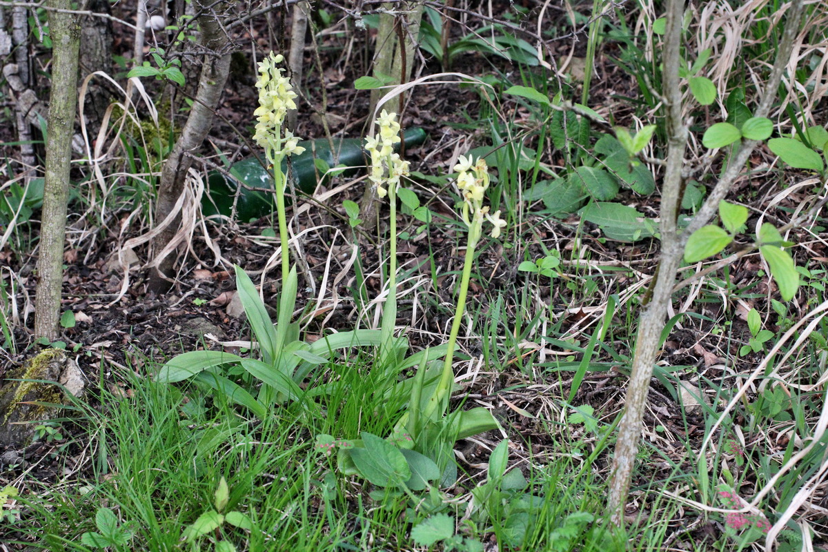 2014_04_21_00040720p_Bildgr��e �ndern