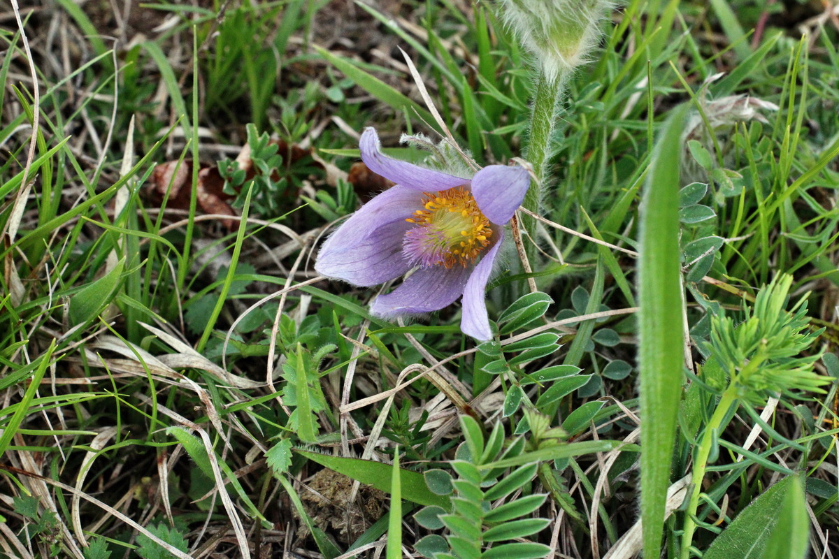 2014_04_21_00040726p_Bildgr��e �ndern