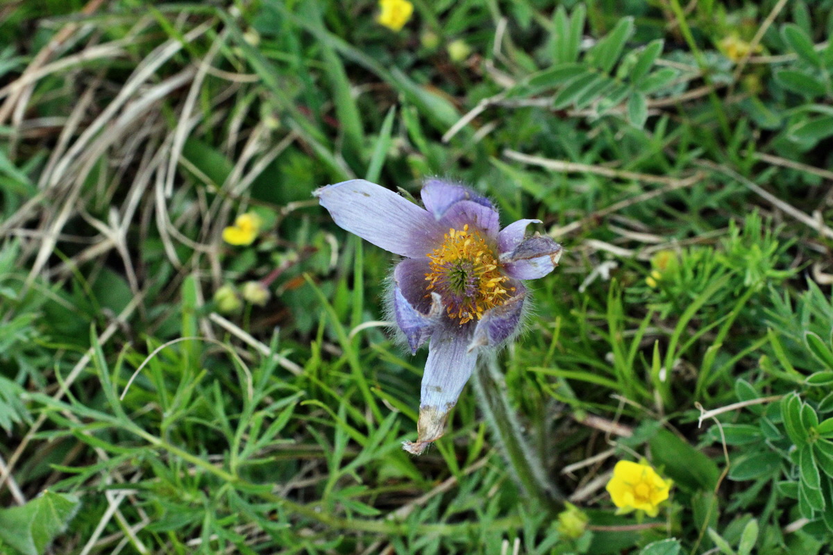 2014_04_21_00040730p_Bildgr��e �ndern