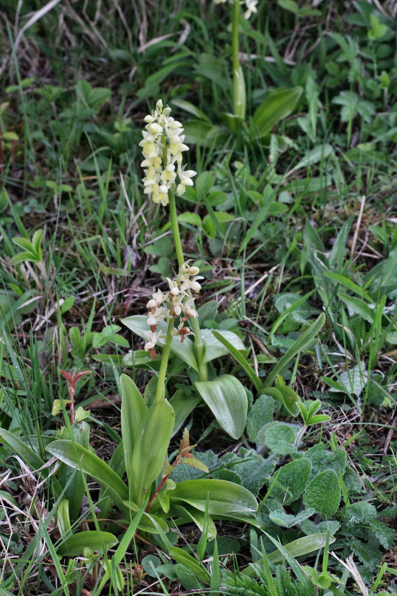 2014_04_21_00040736p_Bildgr��e �ndern