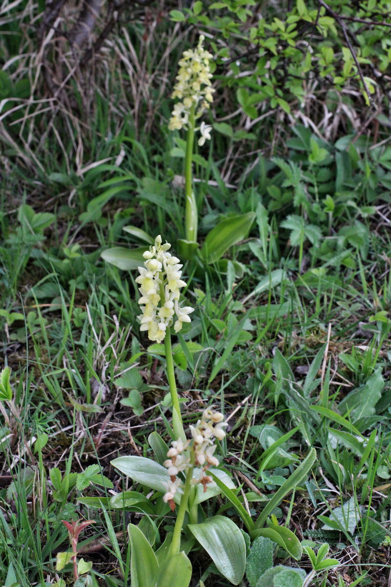 2014_04_21_00040738p_Bildgr��e �ndern