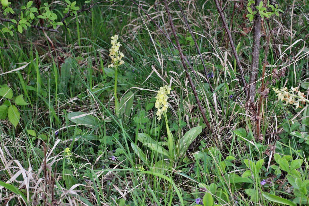 2014_04_21_00040741p_Bildgr��e �ndern