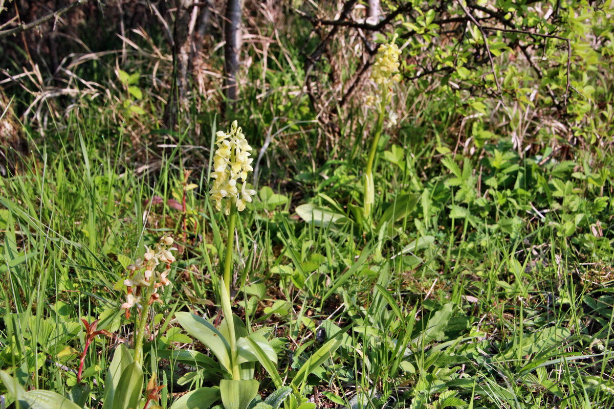 2014_04_23_00040747p_Bildgr��e �ndern