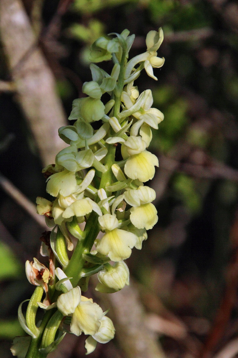 2014_04_23_00040750p_Bildgr��e �ndern