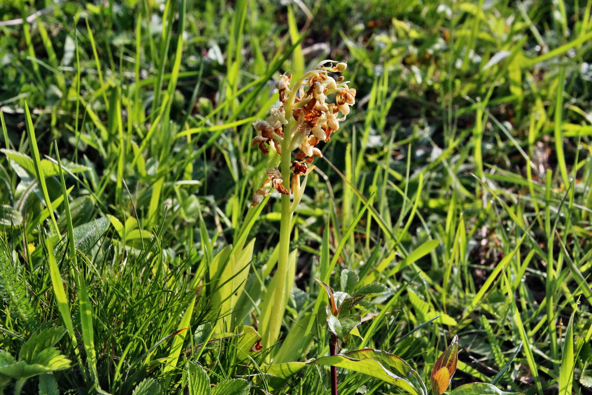 2014_04_23_00040758p_Bildgr��e �ndern