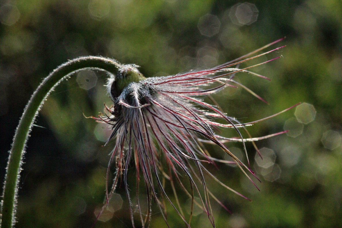 2014_04_23_00040761p_Bildgr��e �ndern