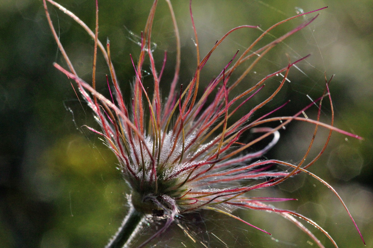 2014_04_23_00040765p_Bildgr��e �ndern