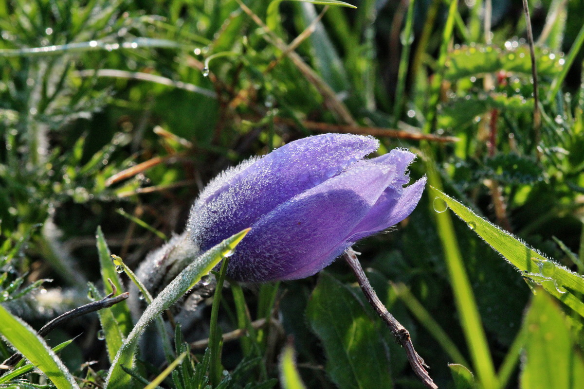 2014_04_23_00040769p_Bildgr��e �ndern