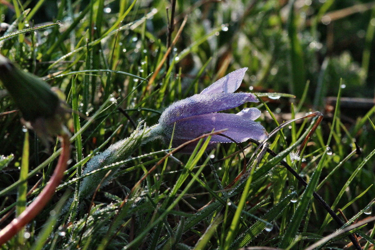 2014_04_23_00040775p_Bildgr��e �ndern