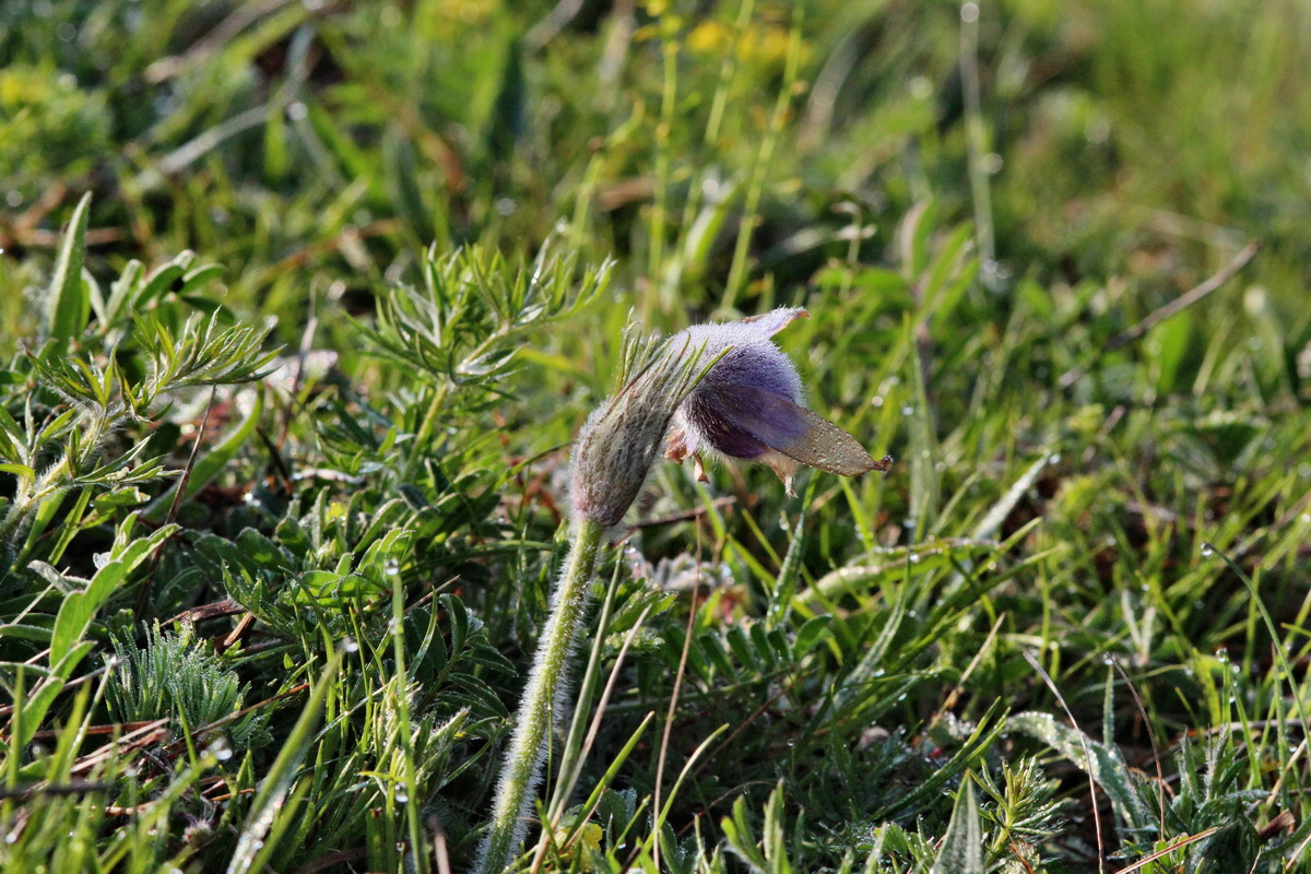 2014_04_23_00040779p_Bildgr��e �ndern