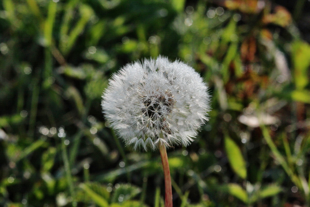 2014_04_23_00040780p_Bildgr��e �ndern