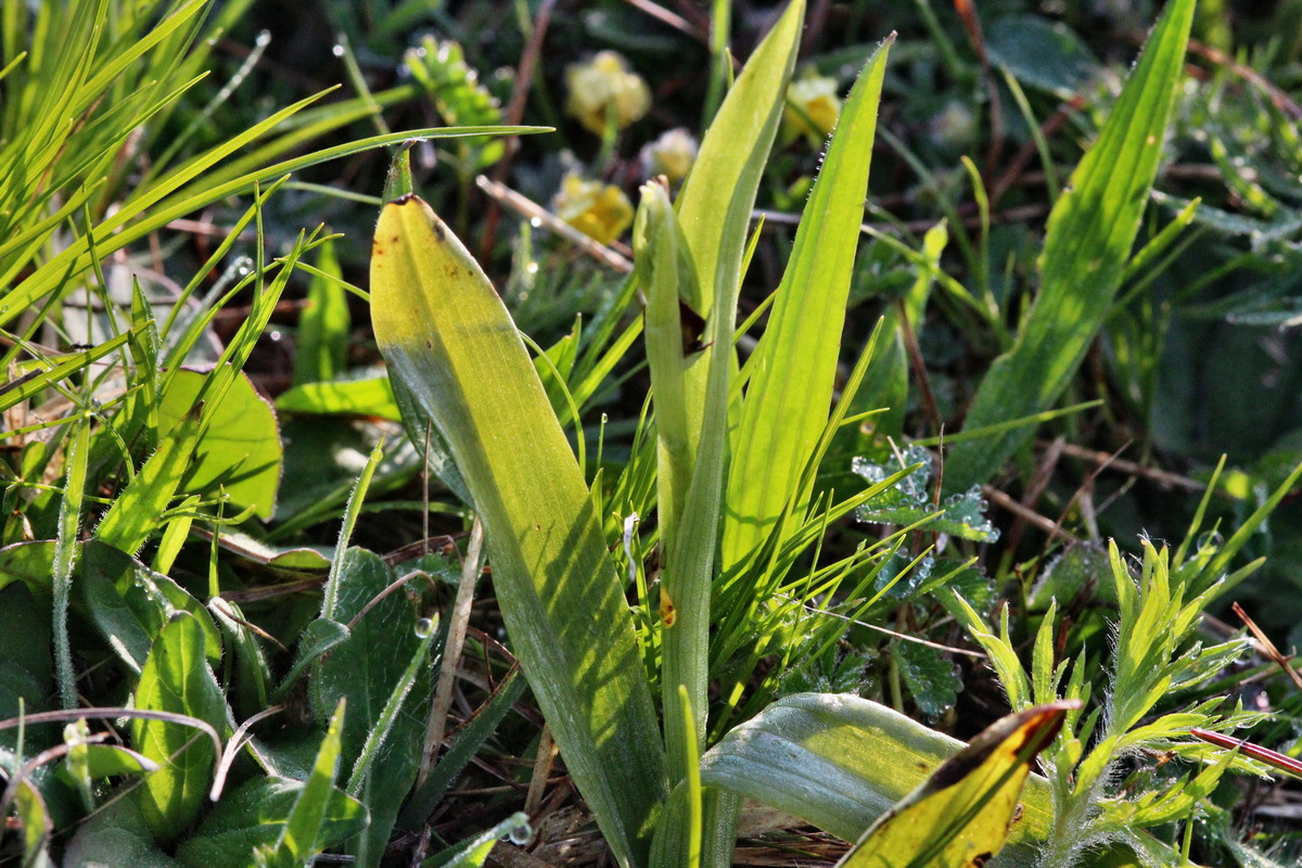 2014_04_23_00040788p_Bildgr��e �ndern