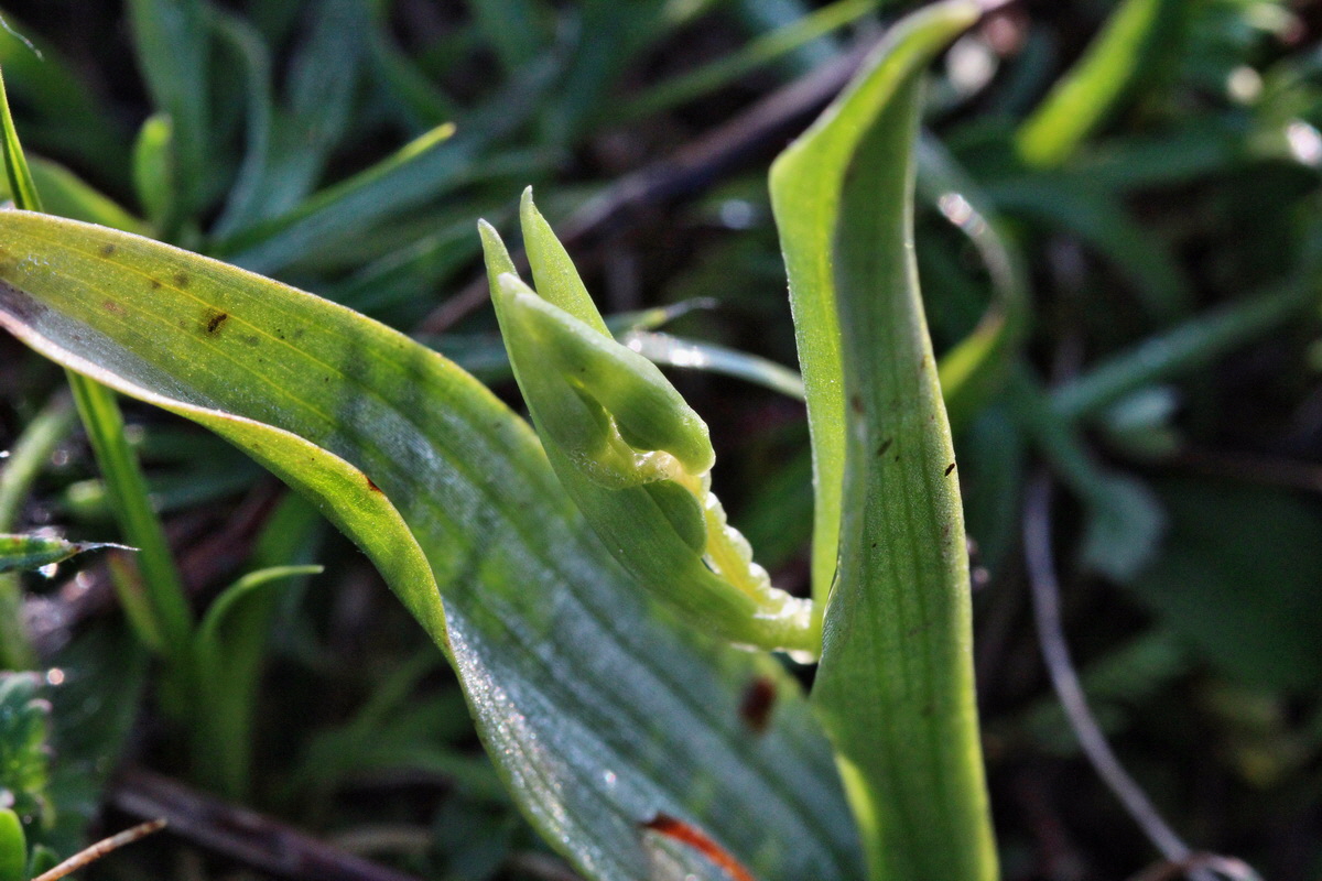 2014_04_23_00040790p_Bildgr��e �ndern