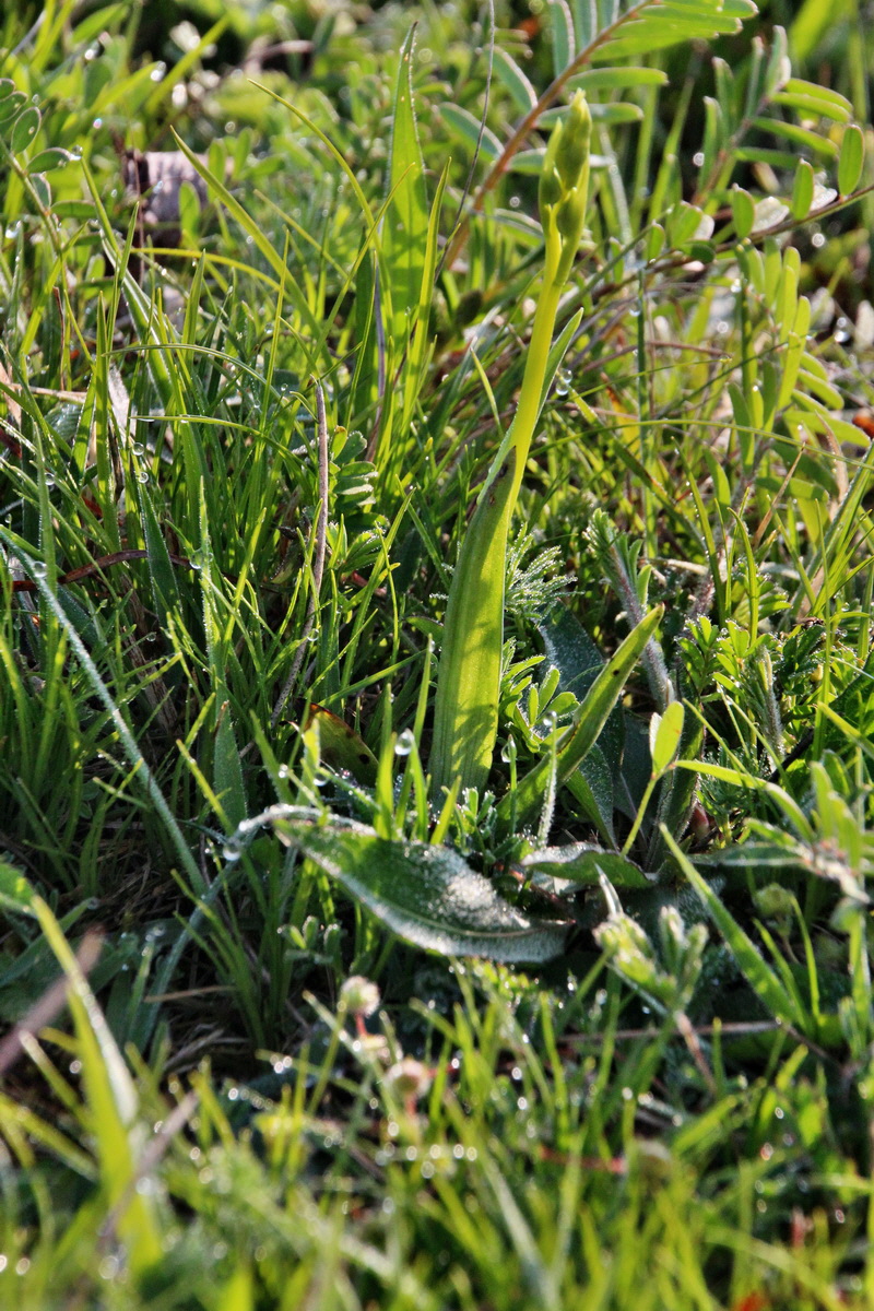 2014_04_23_00040796p_Bildgr��e �ndern