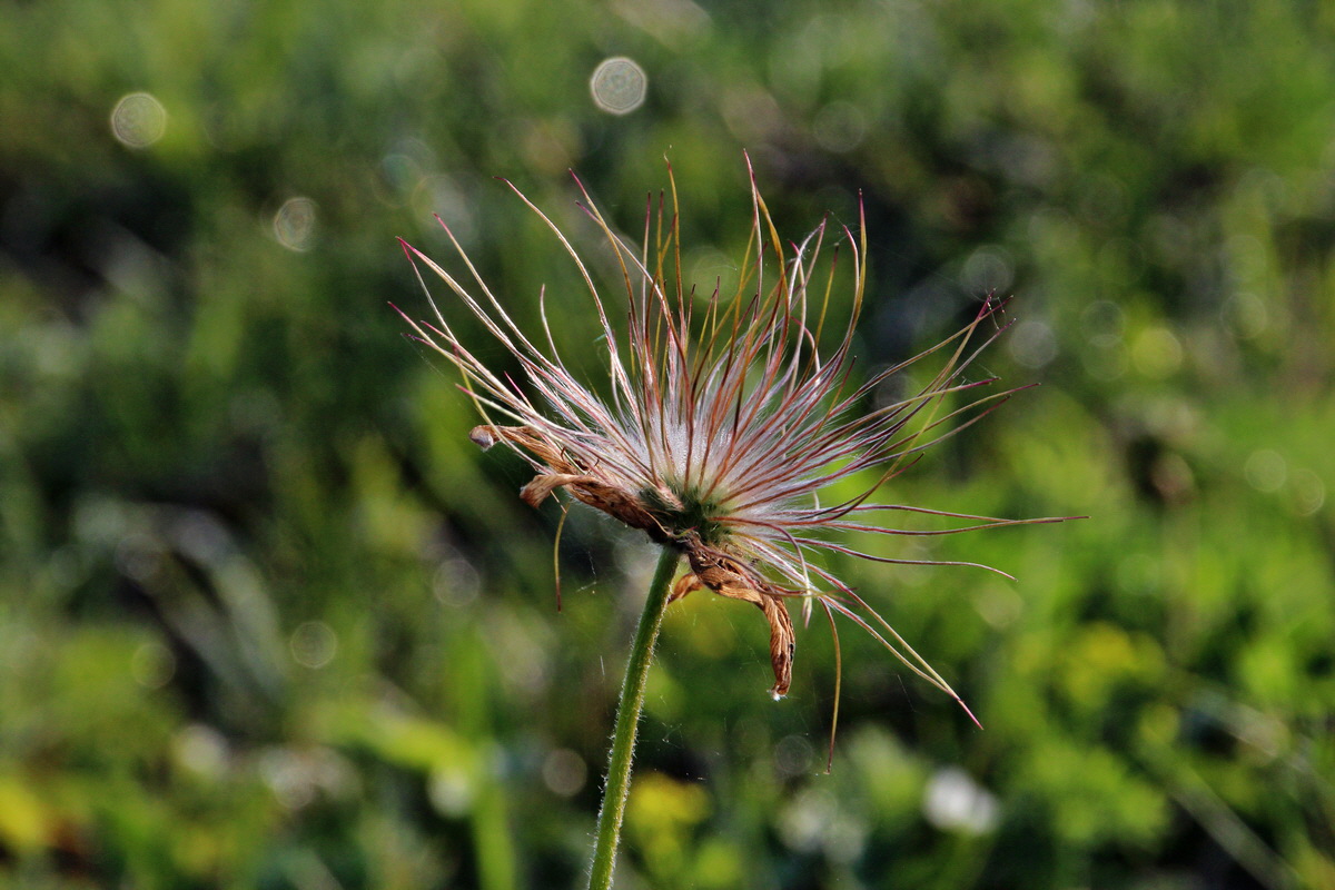 2014_04_23_00040813p_Bildgr��e �ndern