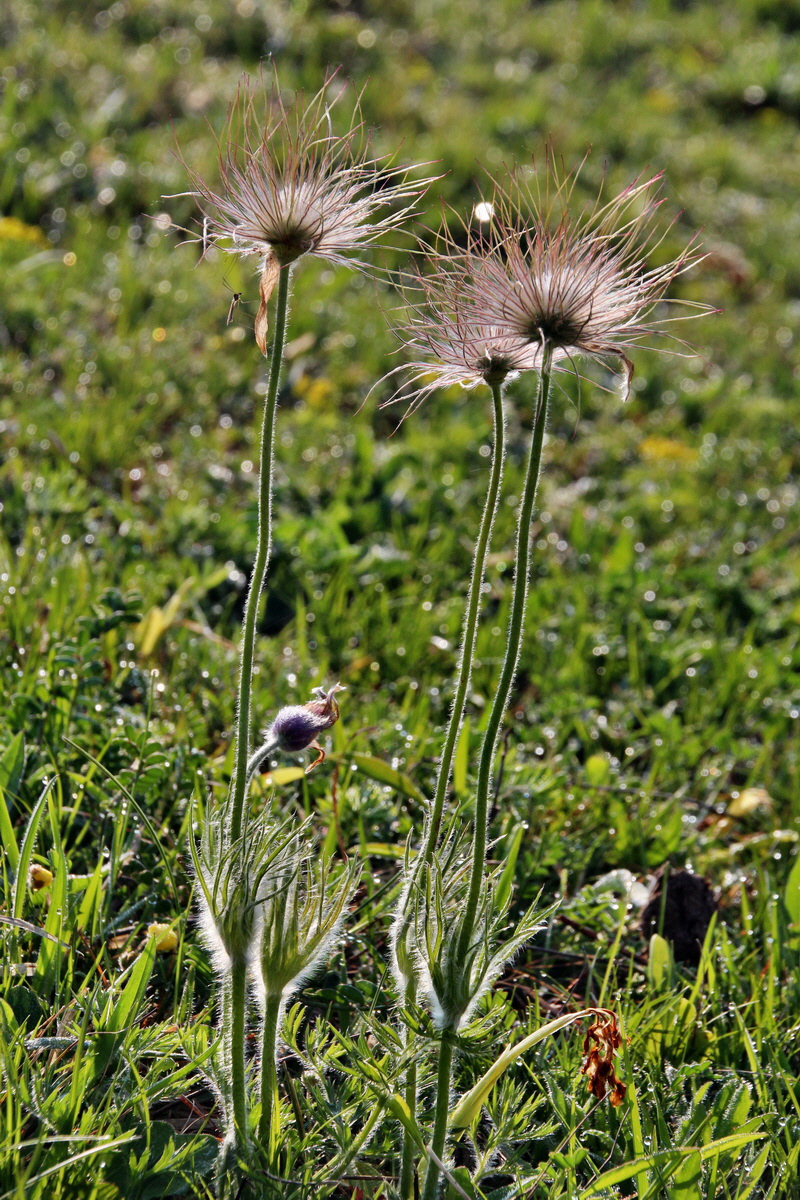 2014_04_23_00040825p_Bildgr��e �ndern