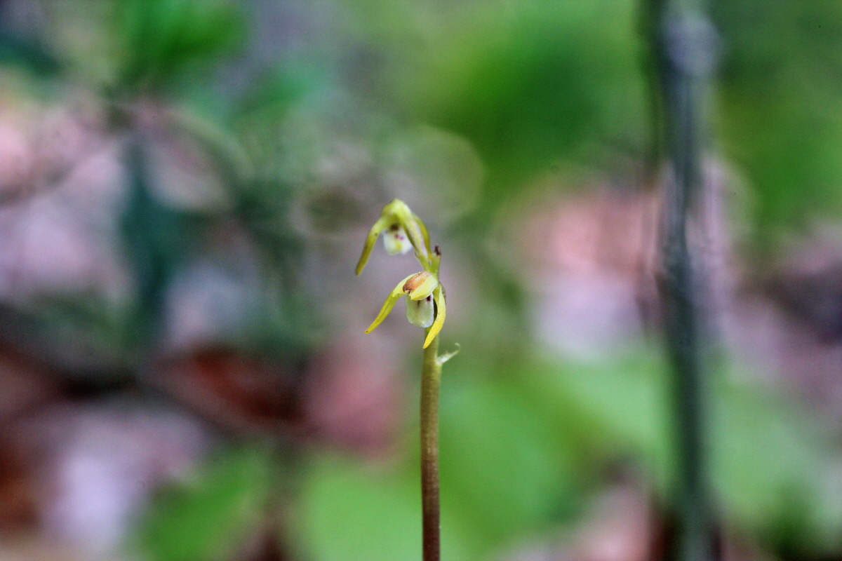 2014_04_23_00040834p_Bildgr��e �ndern