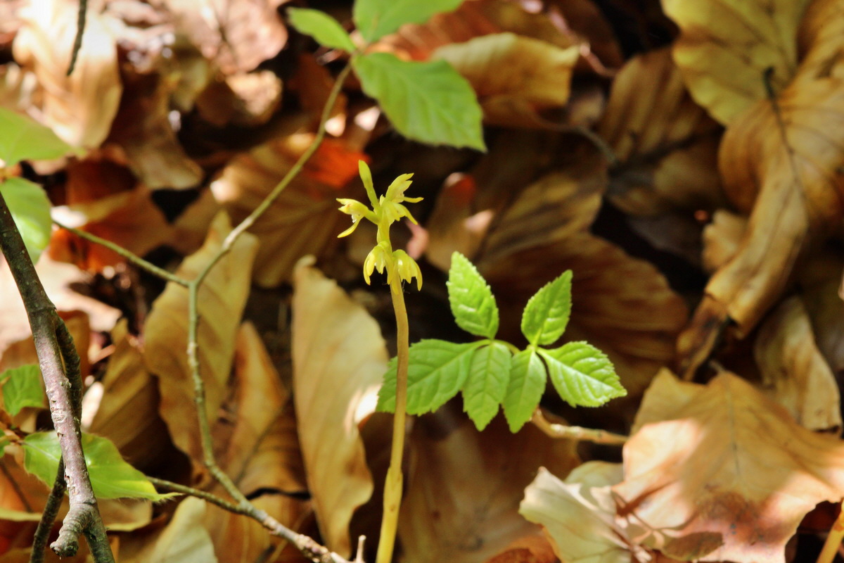 2014_04_23_00040837p_Bildgr��e �ndern