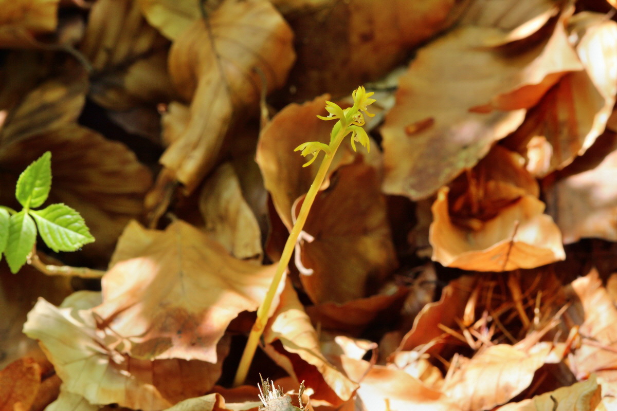 2014_04_23_00040840p_Bildgr��e �ndern