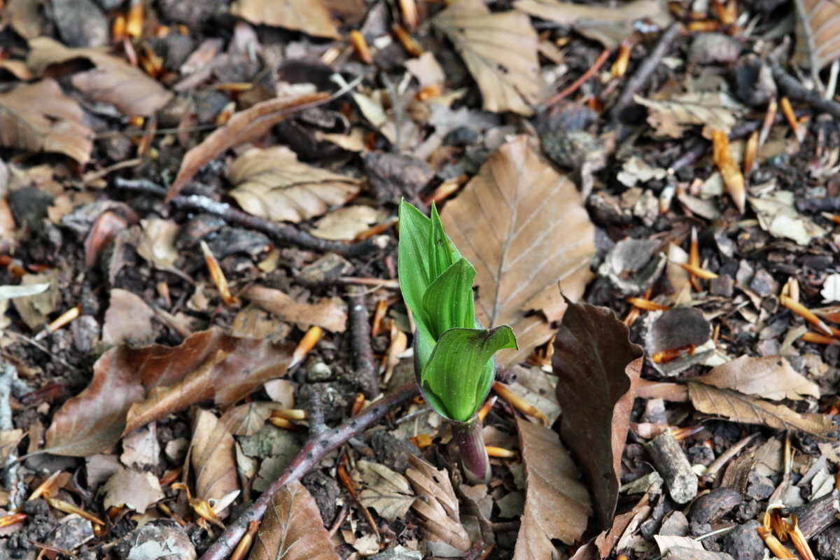 2014_04_23_00040847p_Bildgr��e �ndern