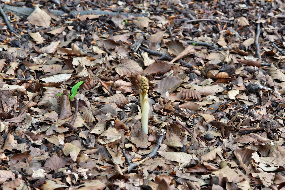 2014_04_23_00040857p_Bildgr��e �ndern