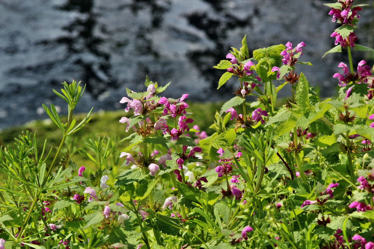 2014_04_23_00040860p_Bildgr��e �ndern