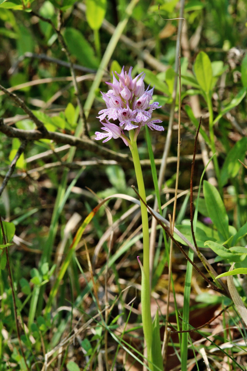 2014_04_23_00040864p_Bildgr��e �ndern