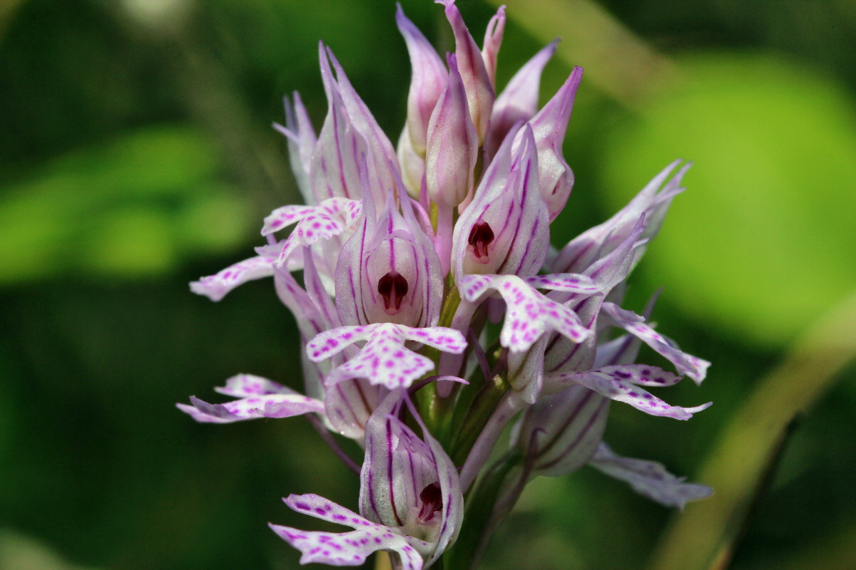 2014_04_23_00040868p_Bildgr��e �ndern