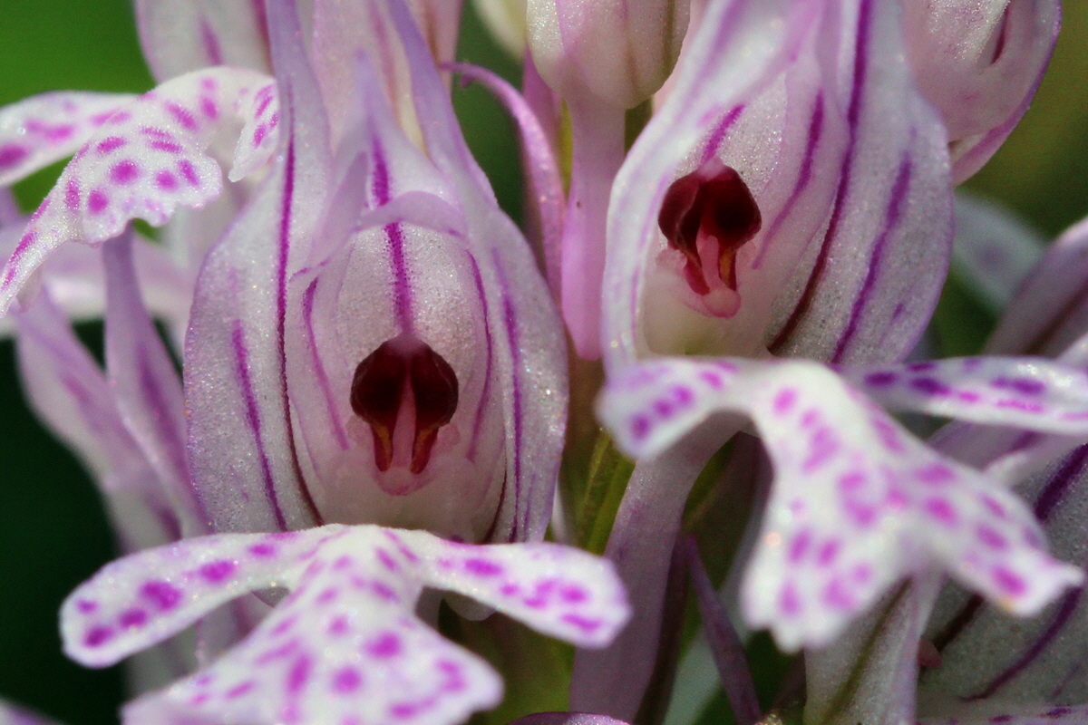 2014_04_23_00040872pa_Bildgr��e �ndern