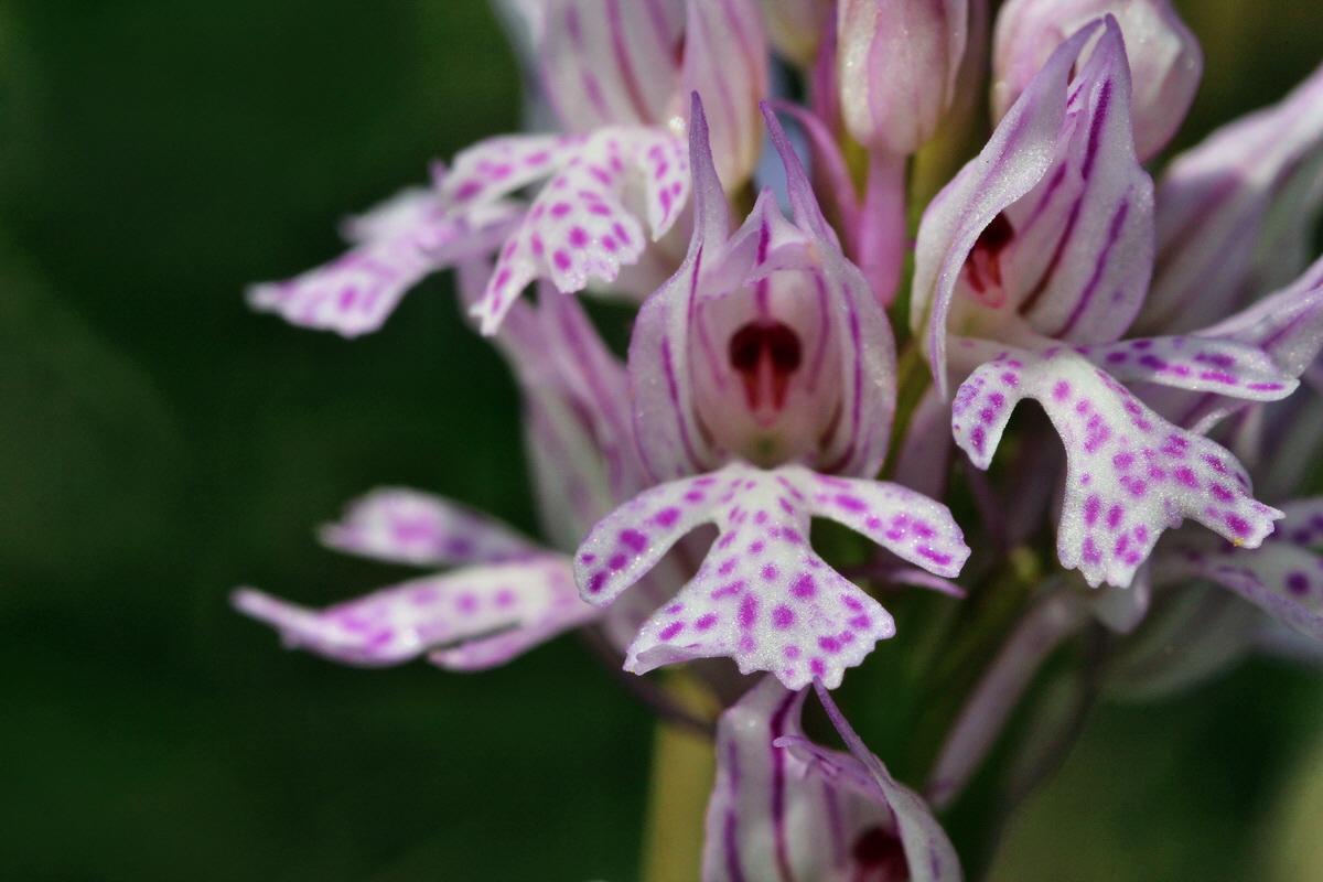 2014_04_23_00040879p_Bildgr��e �ndern