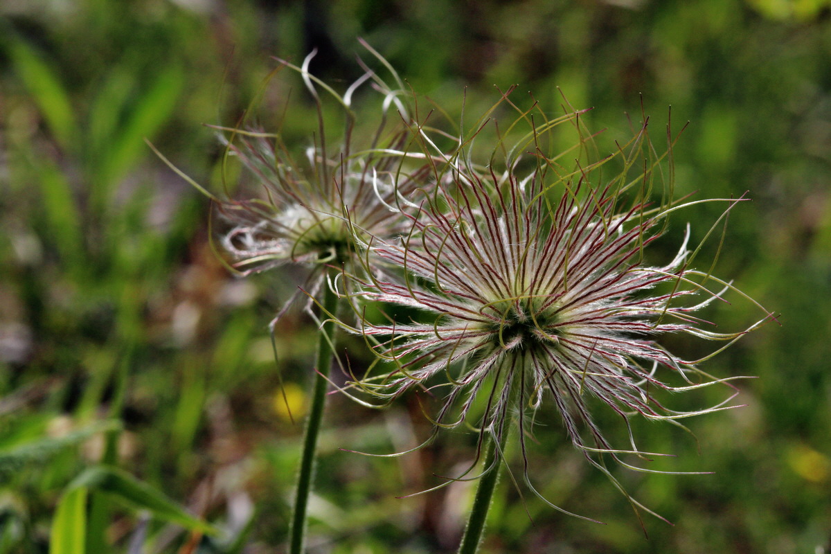 2014_04_23_00040884p_Bildgr��e �ndern