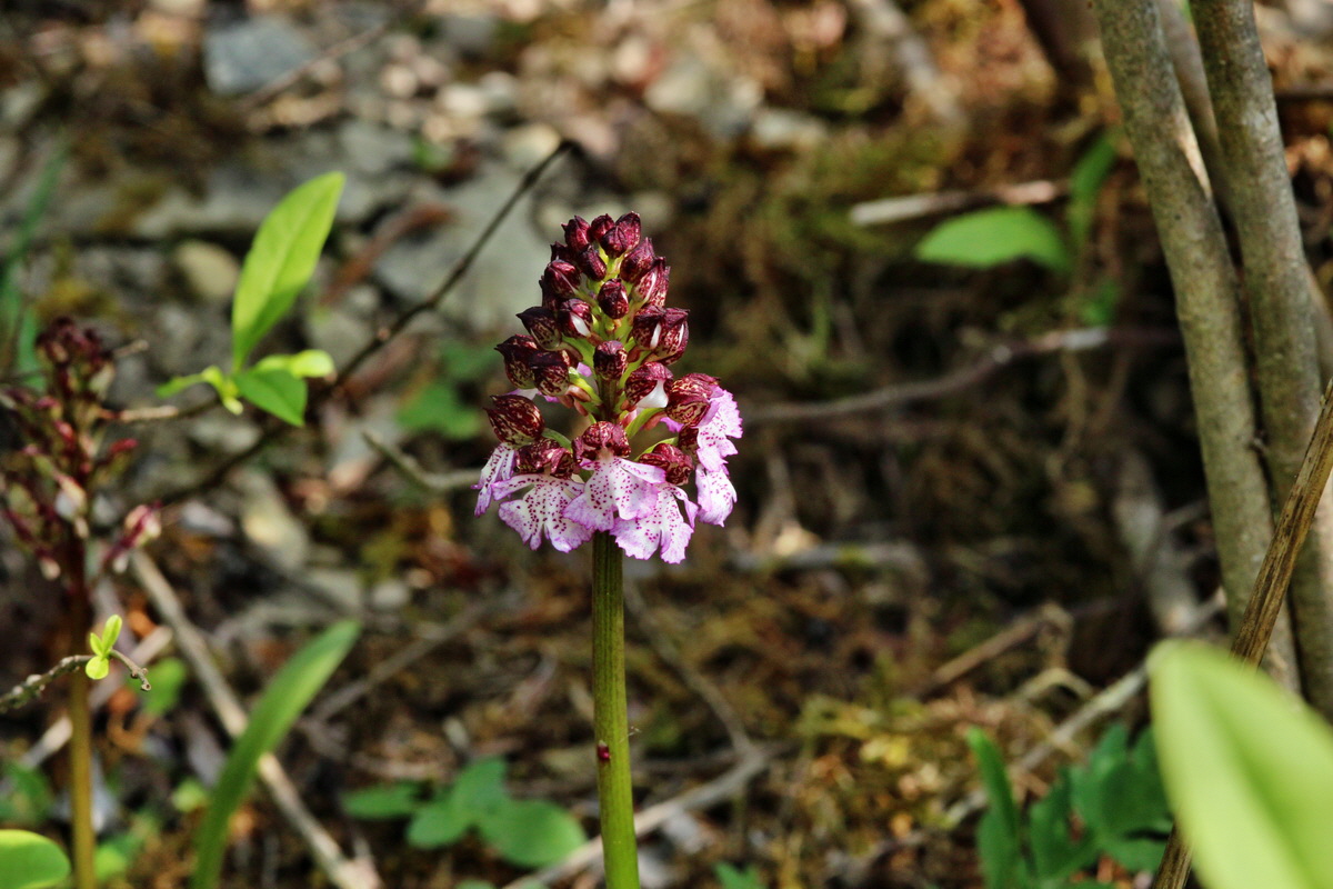 2014_04_23_00040887p_Bildgr��e �ndern